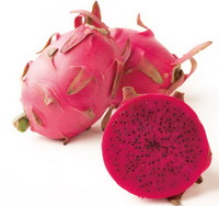 Pitaya fruit Icon 06