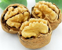 Walnut and Walnut Kernel 03