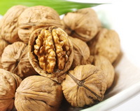 Walnut and Walnut Kernel 04