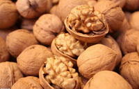 Walnut and Walnut Kernel 05