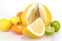 The fruits that aid weight loss.