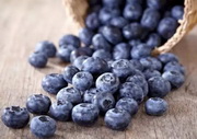 Blueberry fruits