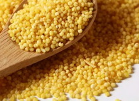 Introduction of Millet 2