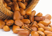 pine nut health benefits