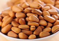 pine nut health benefits