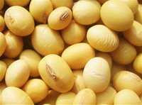 Notes on eating soya beans