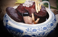 Introduction of Food Therapy