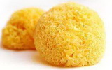Yellow tremella