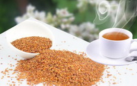 Bitter Buckwheat 04