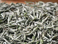 White Tea 04