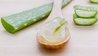 Introduction of aloe vera gel