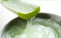 The health benefits and functions of aloe vera gel.
