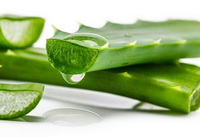aloe vera gel 05