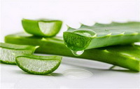 aloe vera gel 06