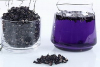 black wolfberry 03