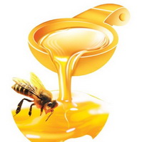 The health benefits of honey, how to take it?