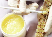 Royal jelly 03