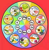 trace elements and diet 04
