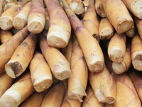 Bamboo shoots:Nutritional values.