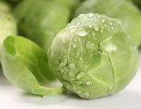 The correct washing method of cabbage, nutritional value, health benefits and food combination of cabbage.