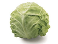 Foods suitable for combination with cabbage