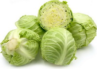 Appropriate crowd of cabbage and wash method