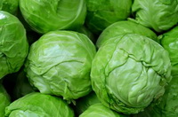 health effect of cabbage