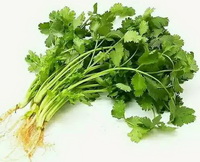The health benefits and functions of Coriander.