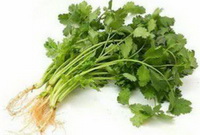 The nutritional components of coriander