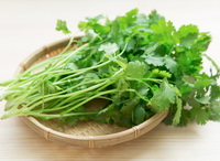 Food taboos of coriander