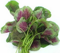 Introduction of Edible Amaranth