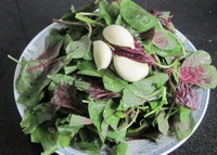 the nutritional value of amaranth