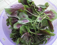 the nutritional value of amaranth