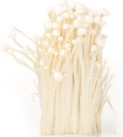Introduction of Flammulina velutipes