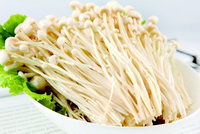 Nutritional value of flammulina velutipes.
