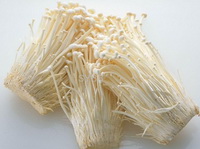 Medicinal value of flammulina velutipes