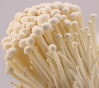The efficacy and function of flammulina velutipes