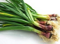 Introduction of Garlic bolt