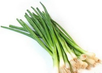 efficacy and function of Garlic bolt