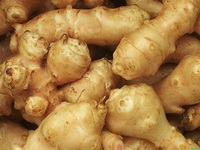 Introduction of Jerusalem artichoke