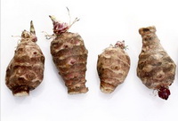 Medicinal value of Jerusalem artichoke.