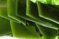 The Nutritional Value of kelp.