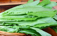 Health effects and functions of Lactuca sativa.