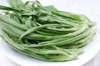 Lactuca sativa Icon 5.