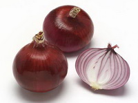 Onion:its functions, health effects and uses.