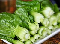 Pakchoi Icon 05