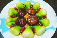 Pakchoi Icon 06