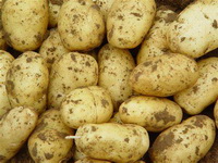 Edible value and functions of potato.