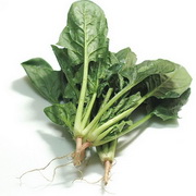 Spinach:nutritional value, health benefits and functions.