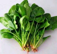 medicinal value of spinach